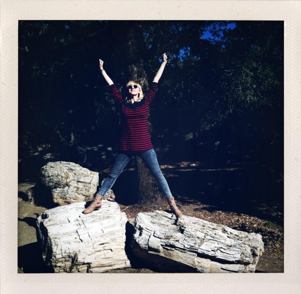 Petrified Forest