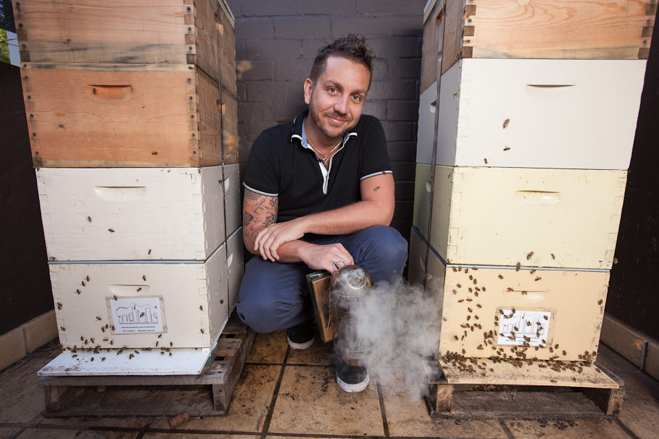 Wine Library Bee Hives