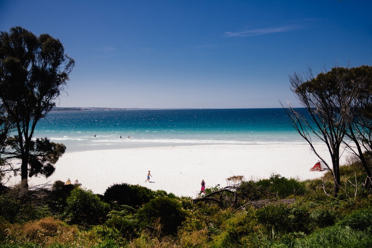 The beach at Bay of Fires was stunning to look at, but sadly the water was too chilly to jump in